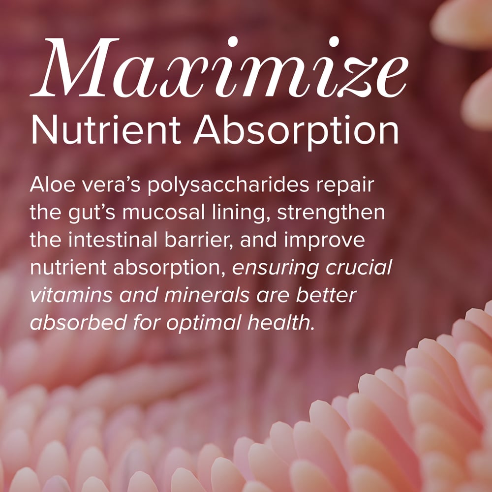 Aloe Vera Capsules